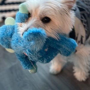 Meet your Posher, Julie